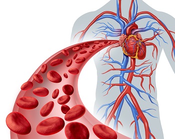 Ilustrační obrázek Červené krvinky