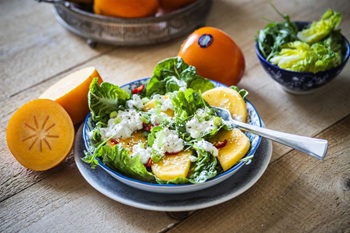 SalatsCottage2026