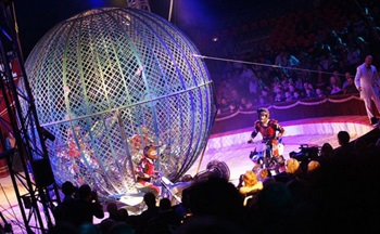 Cirkufestiva2025keke