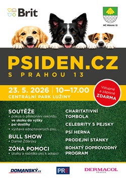 PsiDenetaprogram26