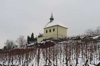 botanickazahradavolko