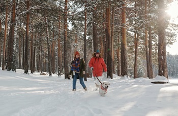 prochazkistalkoholu23