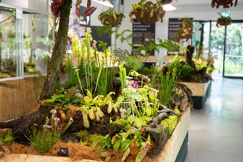 botanickamasozravky25