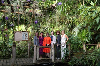 botanickaorchiddar26