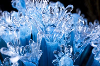 botanickazahrada2025