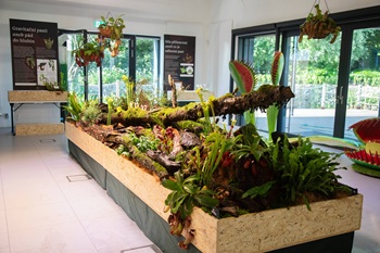 botanicmasodarina25