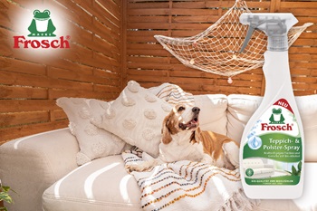 FroschCisticnakoberce 