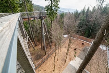 stezkajanskelaznset26