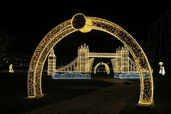 volkovaseditasvetla25