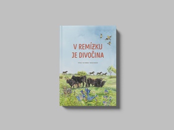 vremizkuedivocina25