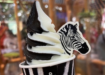 zebrajanakamiko26